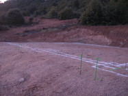 Disseny i construcció d'una granja de cabrum de llet Disseny i construcció d'una granja de cabrum de llet