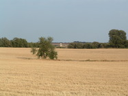 Enginyeria Mediambiental Enginyeria Mediambiental
